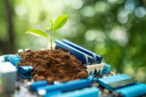 Small Plant Growing from Soil on Computer Parts, Symbolizing Eco Tech in Westmont, IL