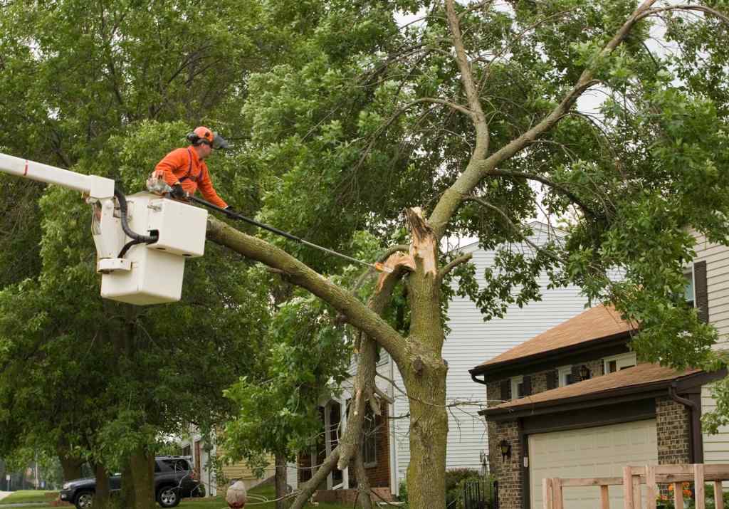 Worker in Lift Cutting a Damaged Tree Branch near a Home in Westmont, IL