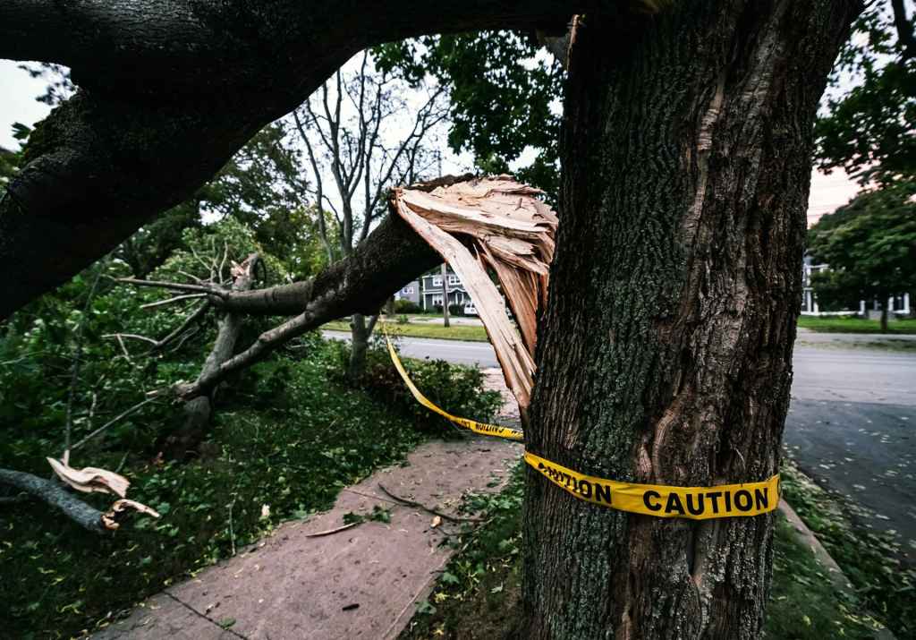 Broken Tree with Caution Tape Blocking a Sidewalk After Storm Damage in Westmont, IL