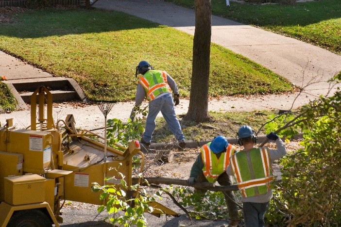 Tree services downers grove